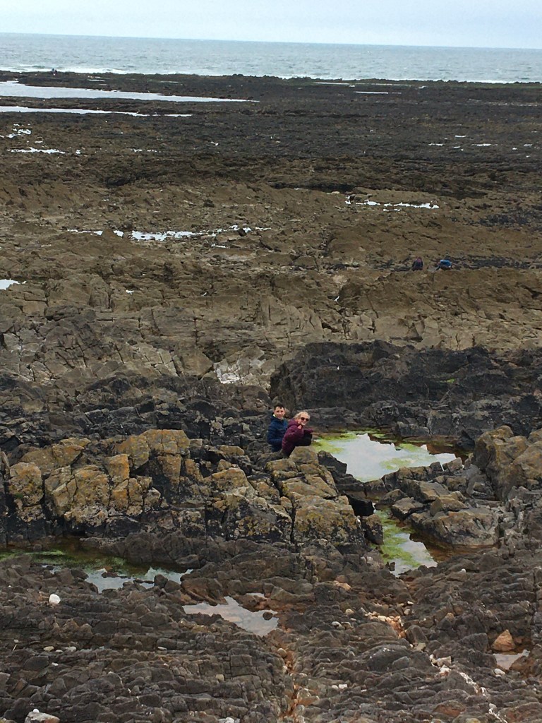 Rockpools Worms Head