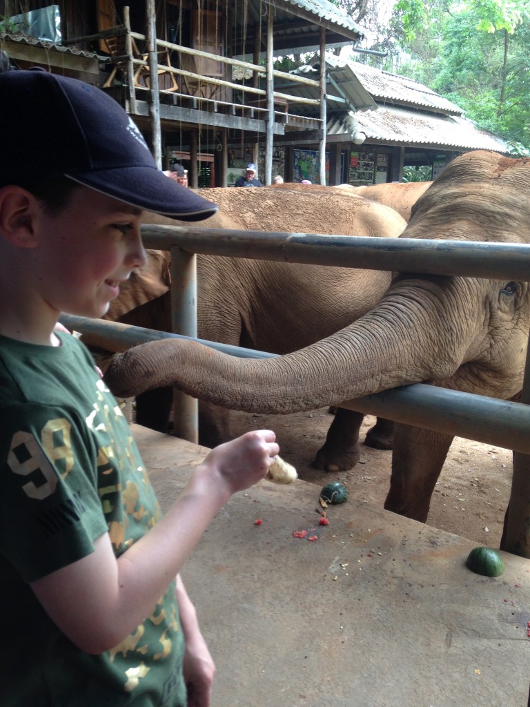 Elephant Nature Park