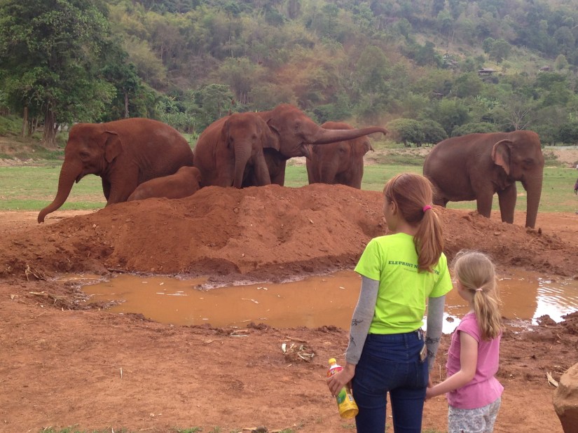 Elephant Nature Park