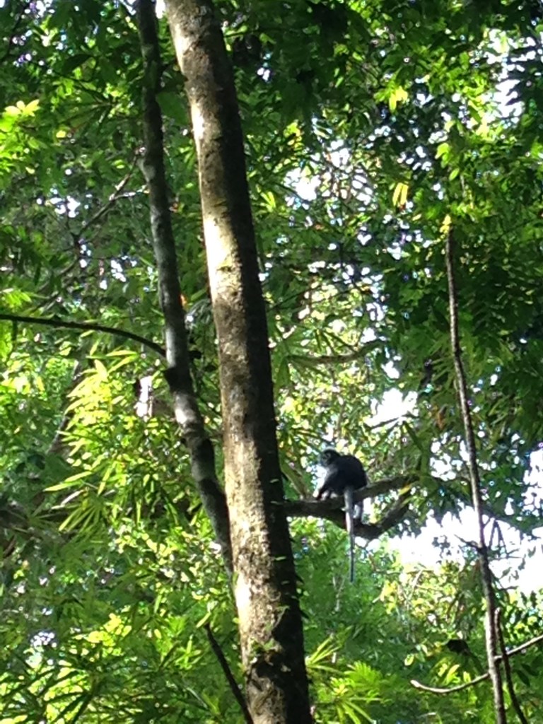 Khao Sok National Park