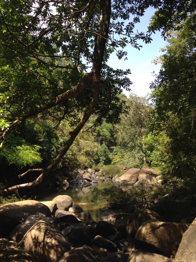 Khao Sok National Park