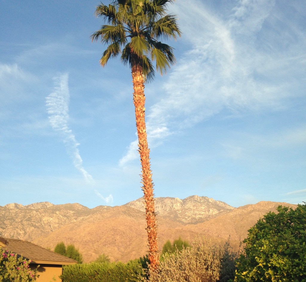 Palm Springs