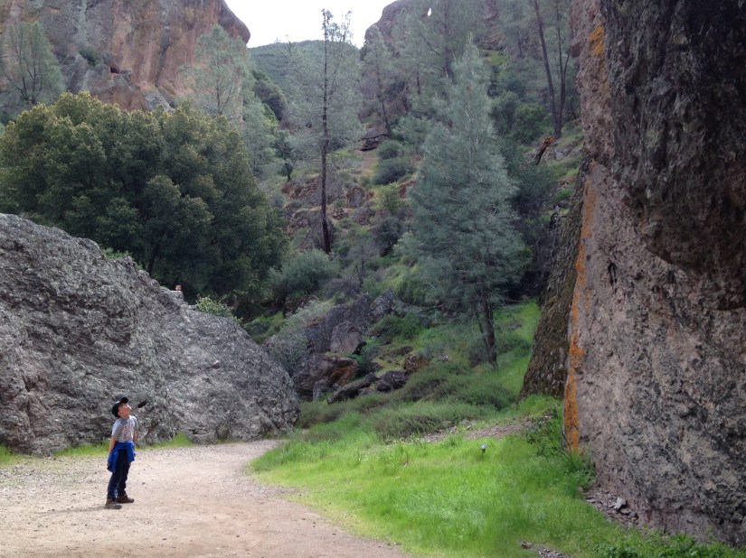 Pinnacles National Park