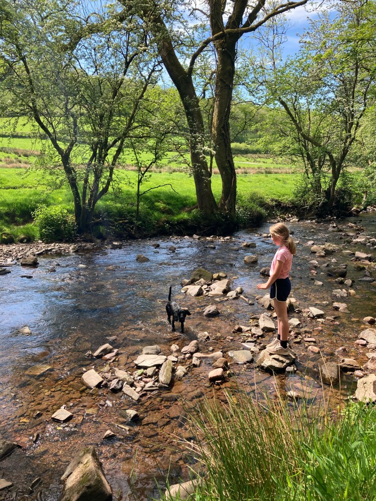 Carreg Cennen Castle