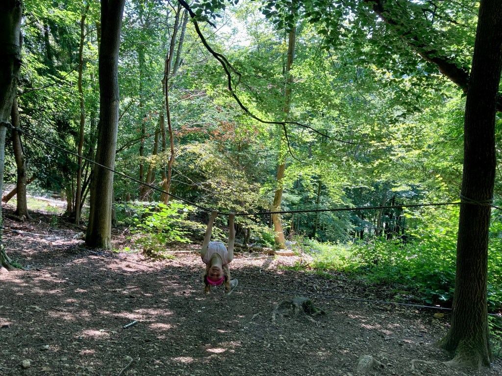 Play trail Woodchester Park