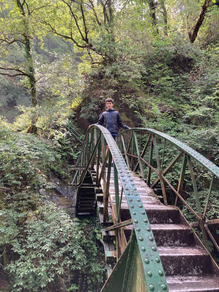 Devil's Bridge Falls