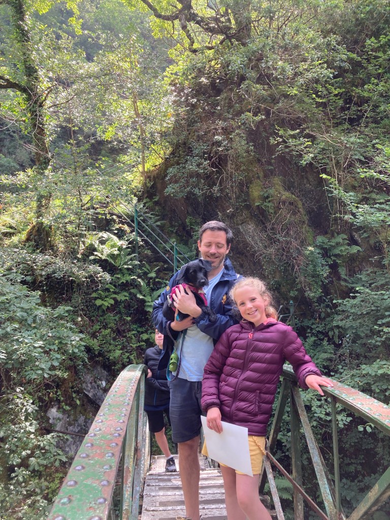 Devil's Bridge Falls