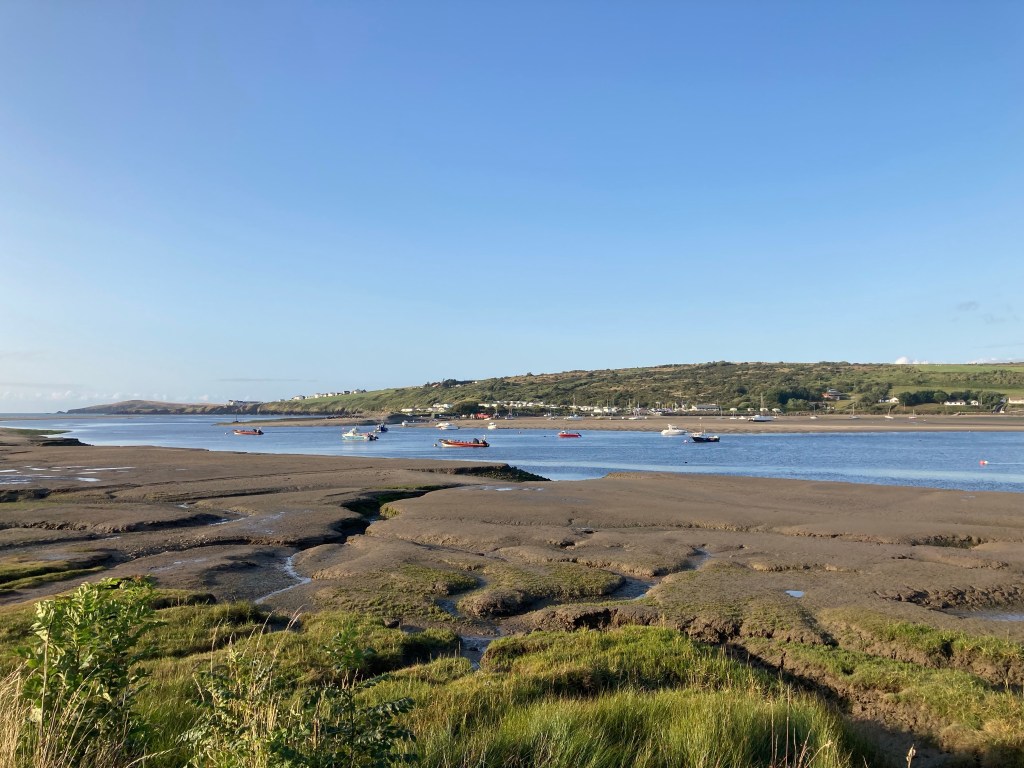Teifi Estuary