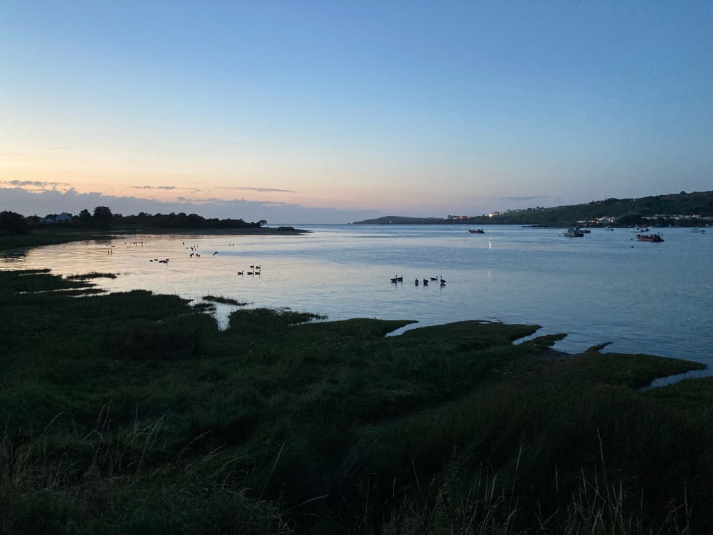 Teifi Estuary