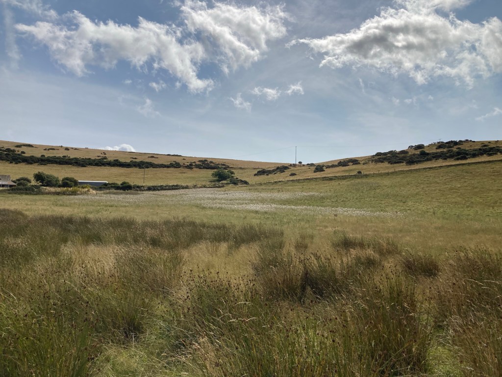 Ceredigion Coastal Path