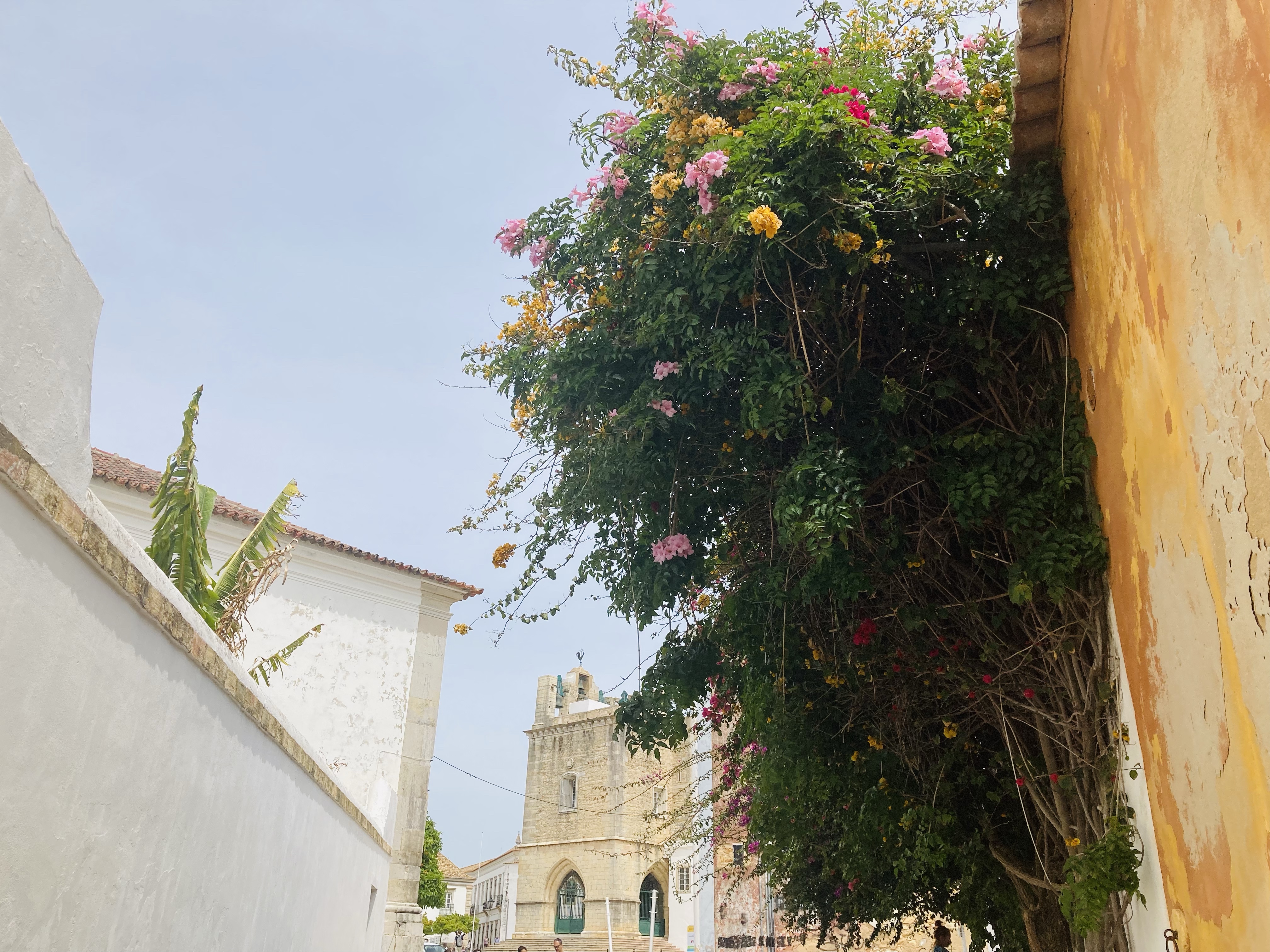 Igreja de Santa Maria