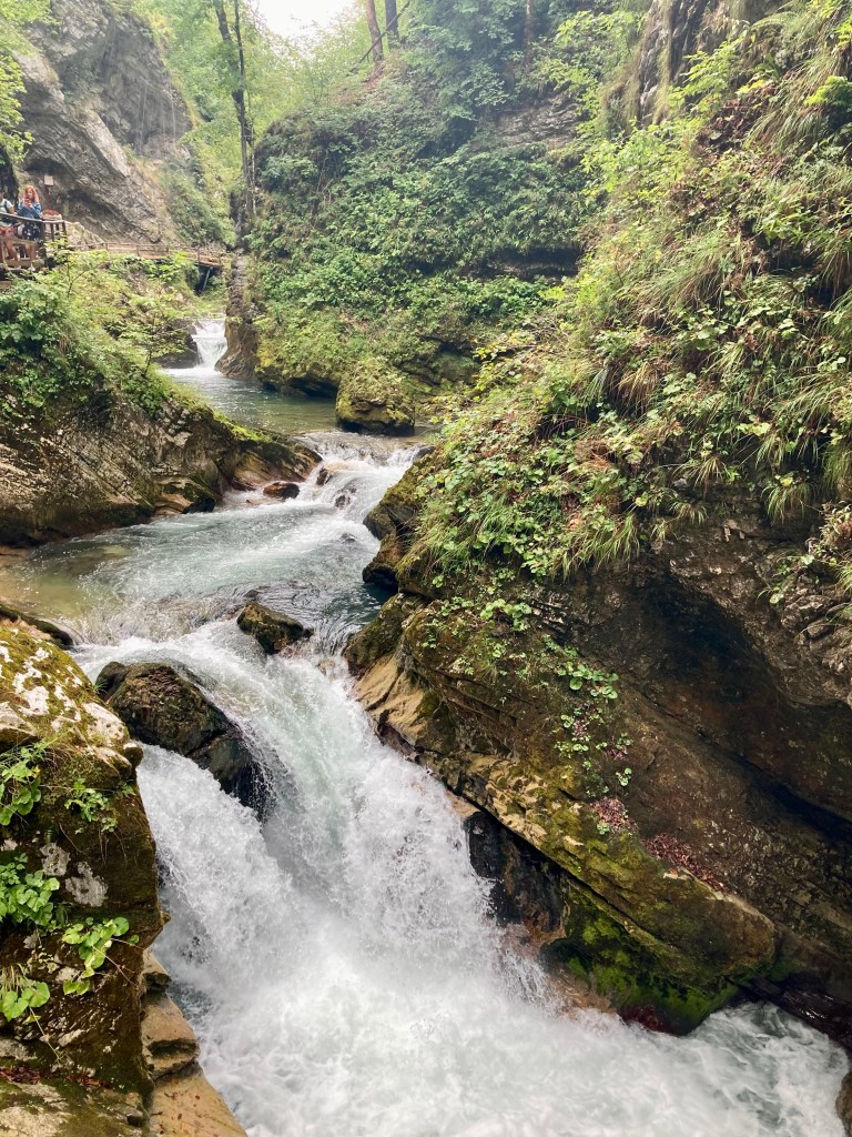 Vintgar Gorge