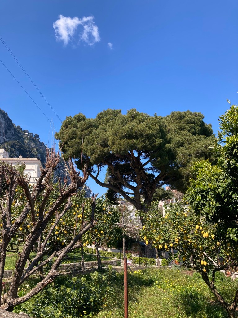 Capri