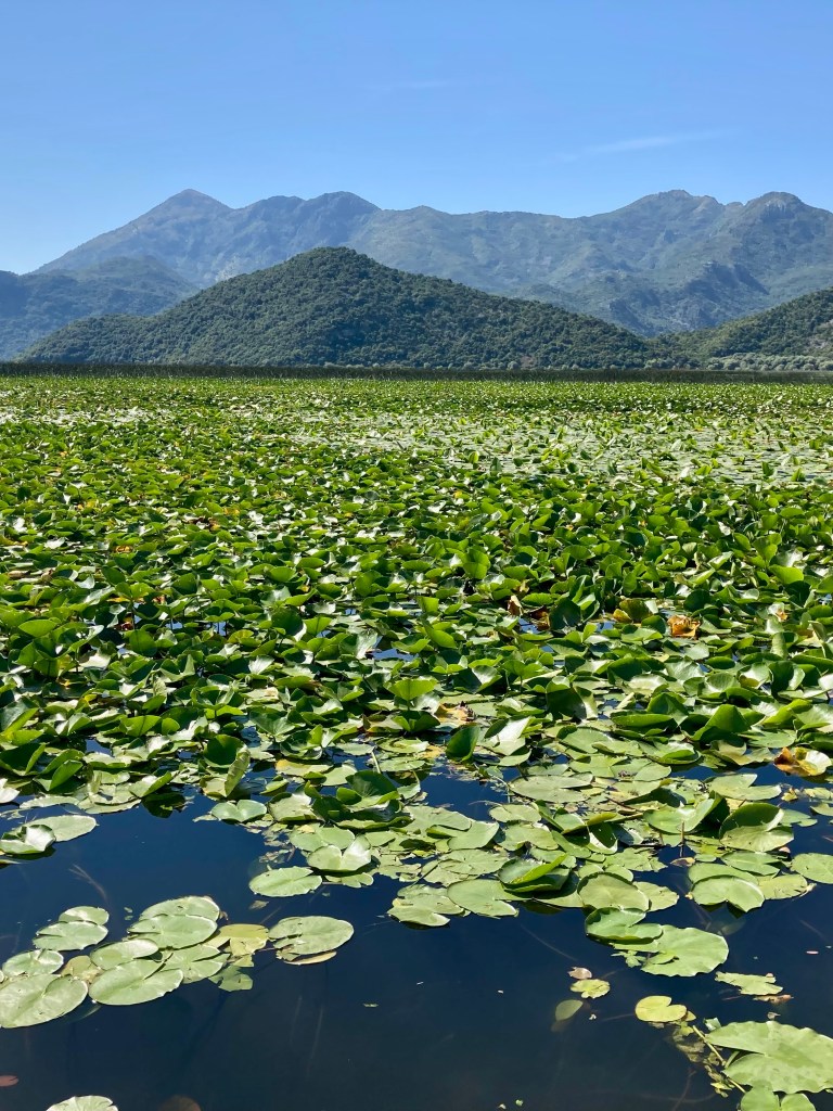 Lake Skadar