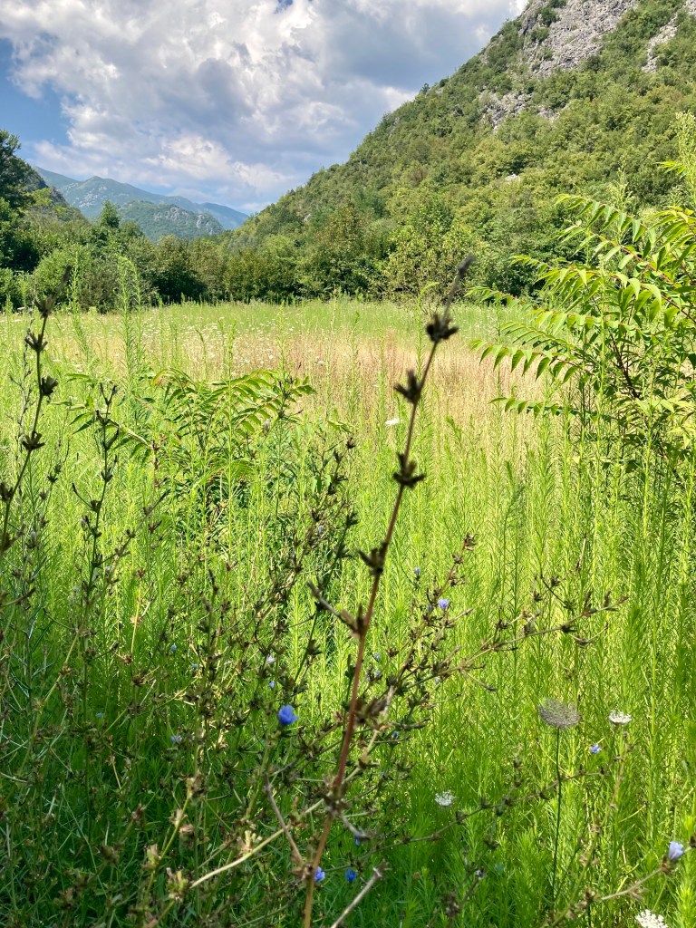 Countryside near Lake Skadar