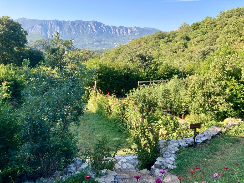 Garden at Hoopoe Glamping Montenegro