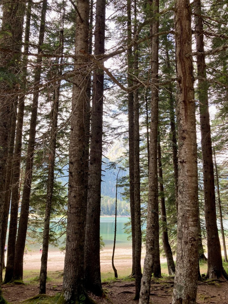 Black Lake Durmitor National Park