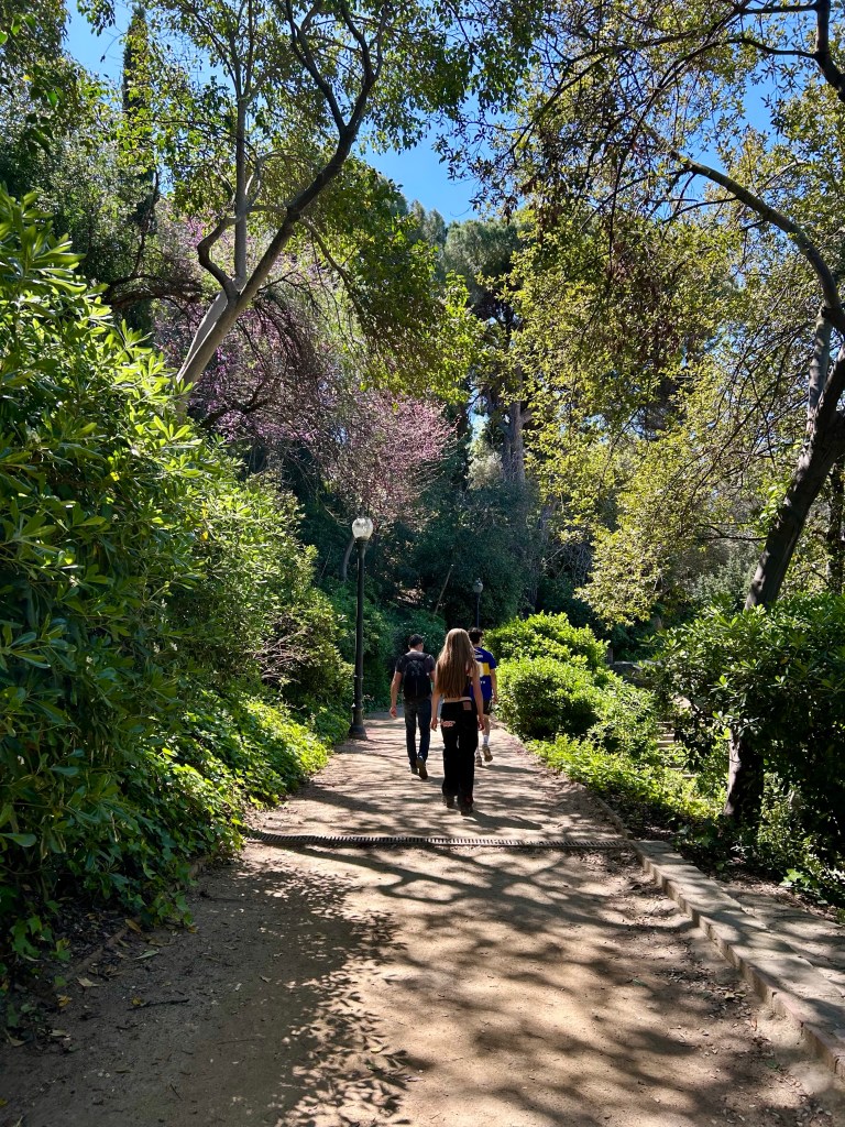 Park on Montjuic Barcelona